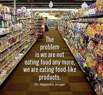 food like substances