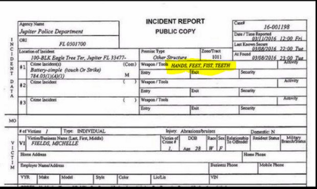 michelle fields allegations 3