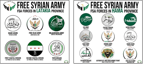 FSA groups flags