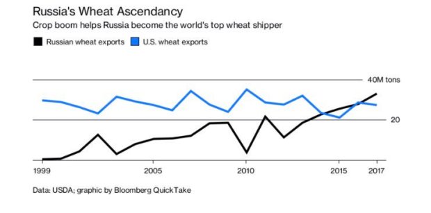 Wheat Export